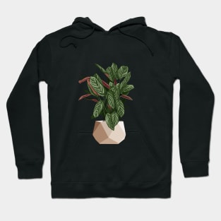 Calathea Freddie Plant Hoodie